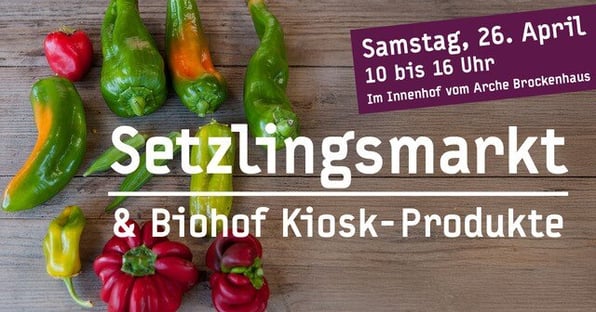 Setzlingsmarkt aus biologischem Anbau im Innenhof des Arche Brockenhaus
