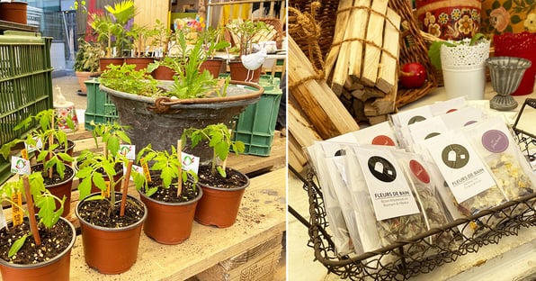 Setzlinge und Manufakturprodukte am Setzlingsmarkt im Arche Brockenhaus