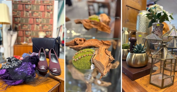 Blogbild_1200x630_Brocki1