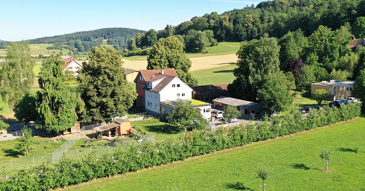BVD-Zertifizierung_Buelach